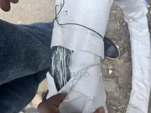 Dangerous Wire አደገኛ አጥር