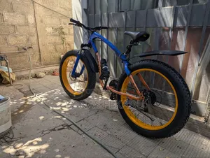 Bicycle Used Like New