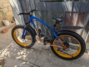 Bicycle Used Like New