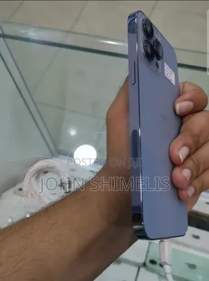 Apple iPhone 13 Pro Max 256 GB Gray