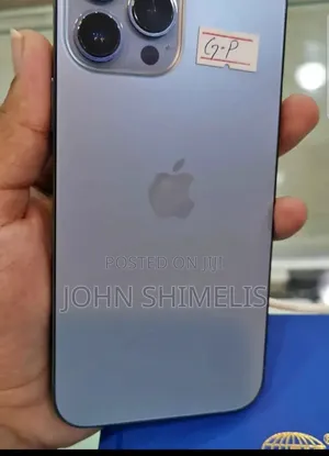 Apple iPhone 13 Pro Max 256 GB Gray