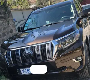 Toyota Land Cruiser Prado 2019 Brown