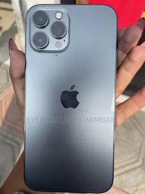 Apple iPhone 12 Pro Max 256 GB Black