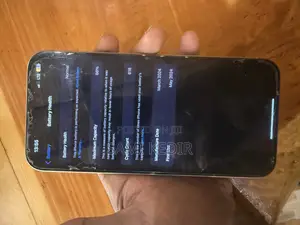 Apple iPhone 15 Pro Max 256 GB Gray