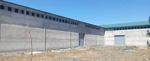 Photo - Big Warehouse for Rent Cheap Price በቅናሽ ዋጋ የሚከራይ 4,000ካሬ ላይ ያረፈ መጋዘን