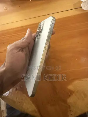 Apple iPhone 15 Pro Max 256 GB Gray