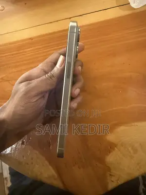 Apple iPhone 15 Pro Max 256 GB Gray