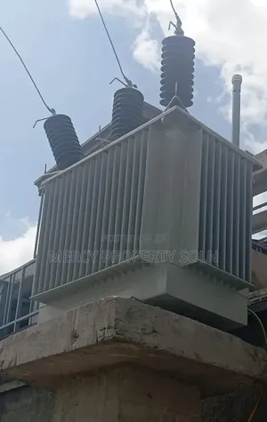 Warehouse for Rent - Addis Ababa የሚከራይ መጋዘን አዲስ አበባ