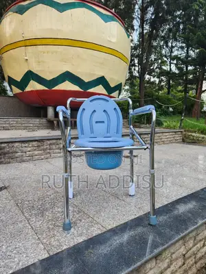Commode Chair Shower Plated Normal Toilet Chair鳵不commode Chair