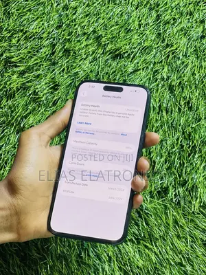 Apple iPhone 15 Pro Max 256 GB Blue