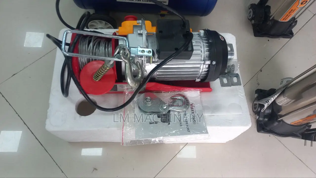 Electric Winch (Hoist) 250/500kg