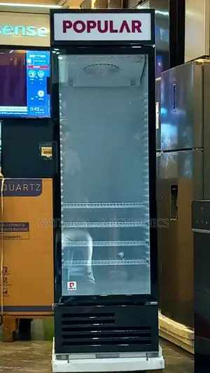 Popular Display Fridge 570 Refrigerator Pp