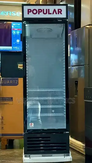 Popular Display Fridge 570 Refrigerator Pp