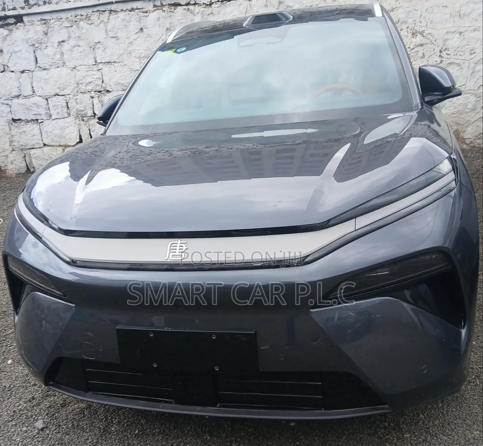 New BYD Tang EV 2025 Blue