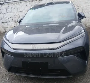 Photo - New BYD Tang EV 2025 Blue