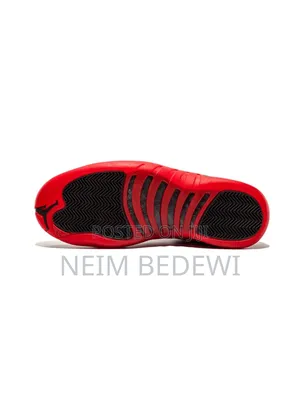 Air Jordan 12 Retro Flu Game (2025)