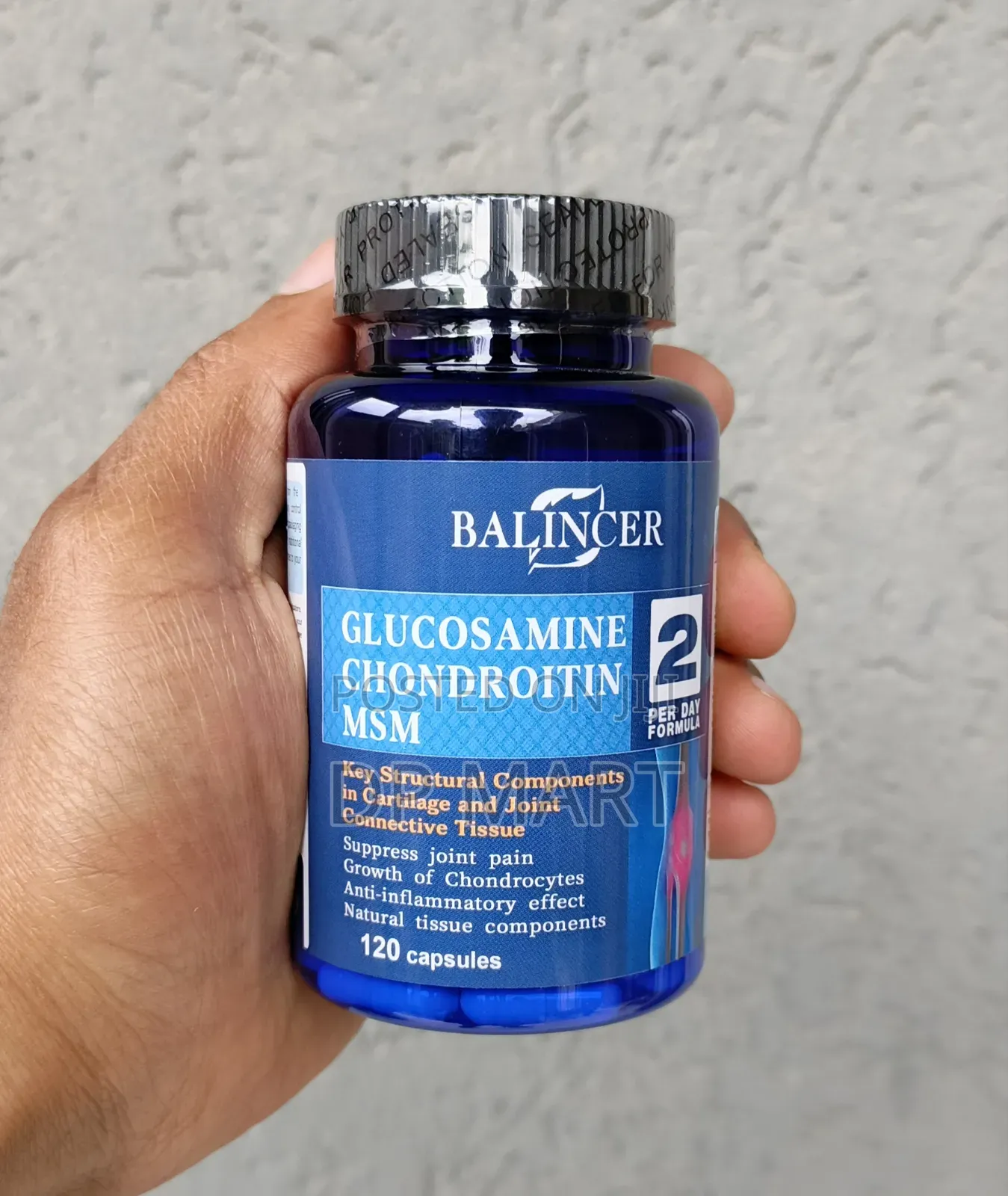 Glucosamine Chondroitin MSM