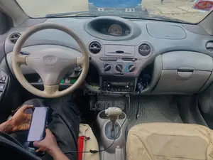 Toyota Platz 1.3 AWD 2001 Gray