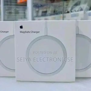 Apple Magnetic Charger