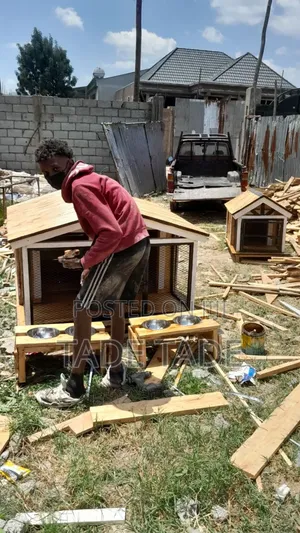 Photo - High Quality Dog House Pets