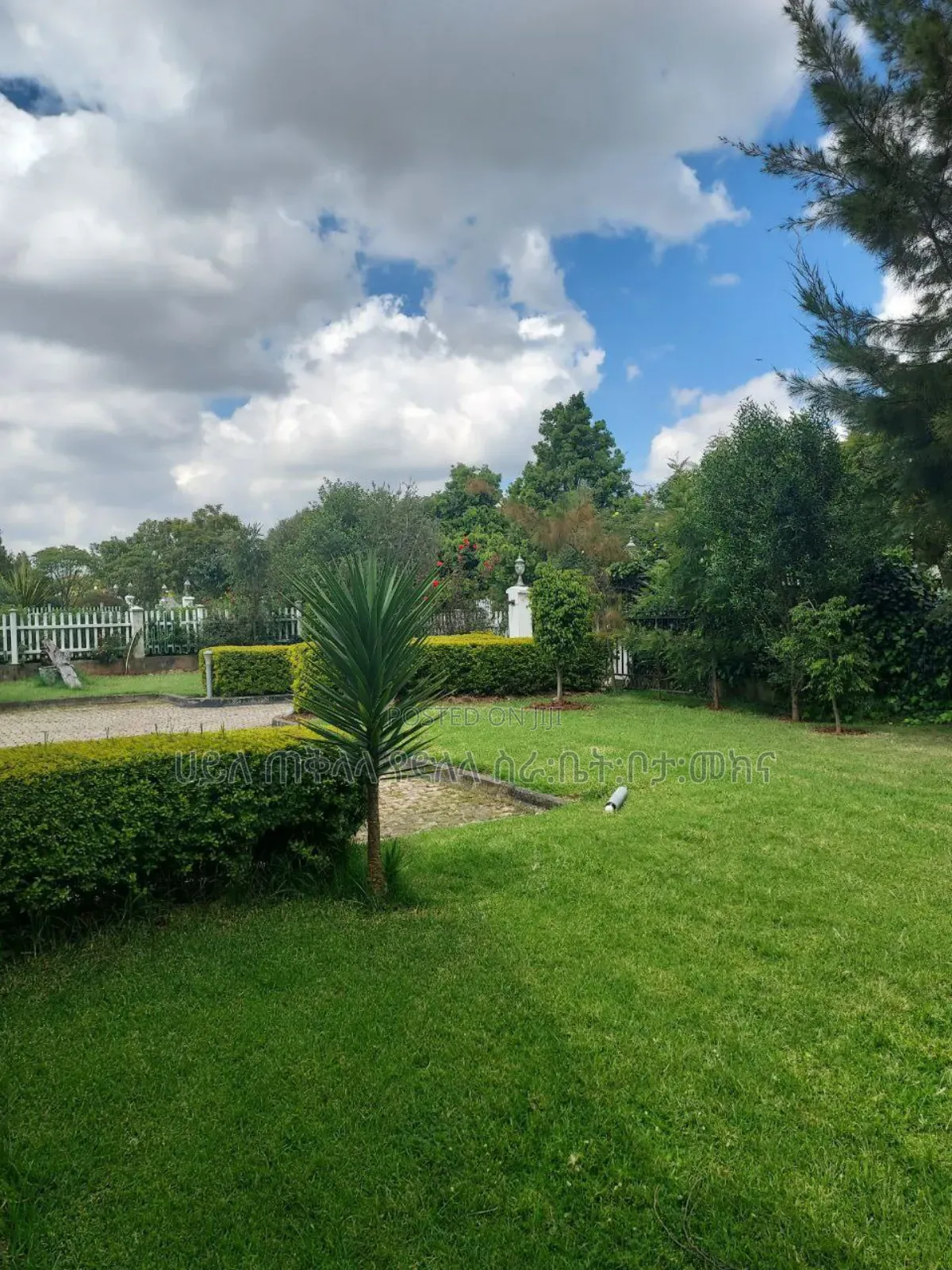 Furnished 7bdrm Townhouse/Terrace in Ccd Real State, Oromia-Finfinne