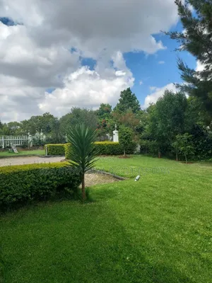 Furnished 7bdrm Townhouse/Terrace in Ccd Real State, Oromia-Finfinne