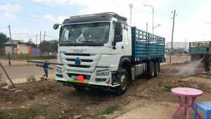 Photo - Sino Kasoni 2022