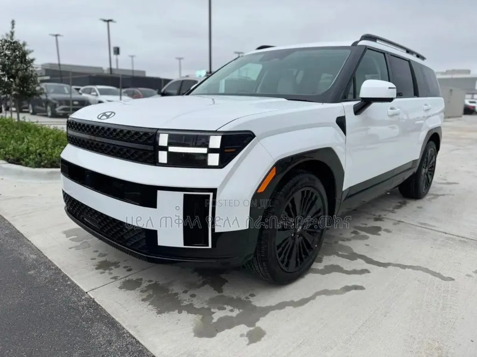 New Hyundai Santa Fe HEV 2024 Ivory