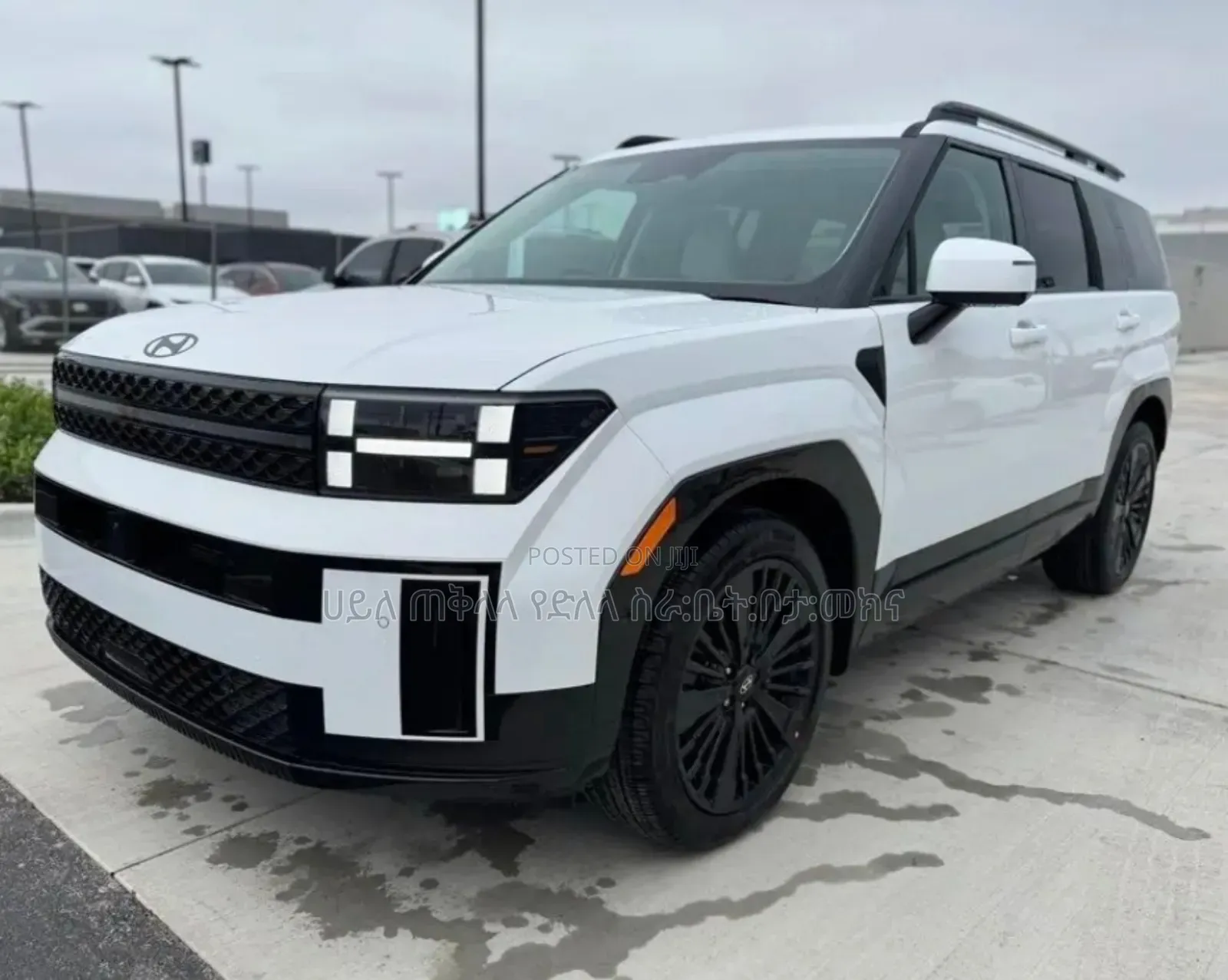 New Hyundai Santa Fe HEV 2024 Ivory