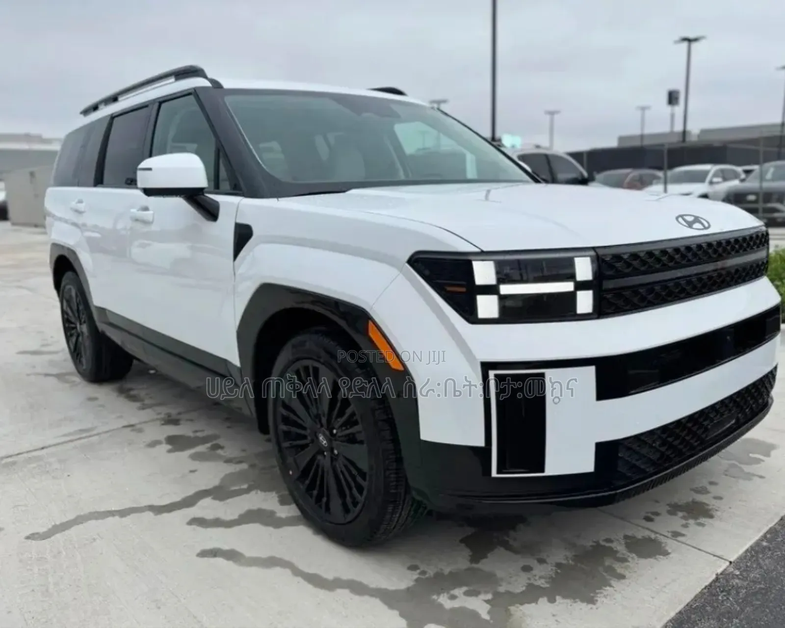 New Hyundai Santa Fe HEV 2024 Ivory