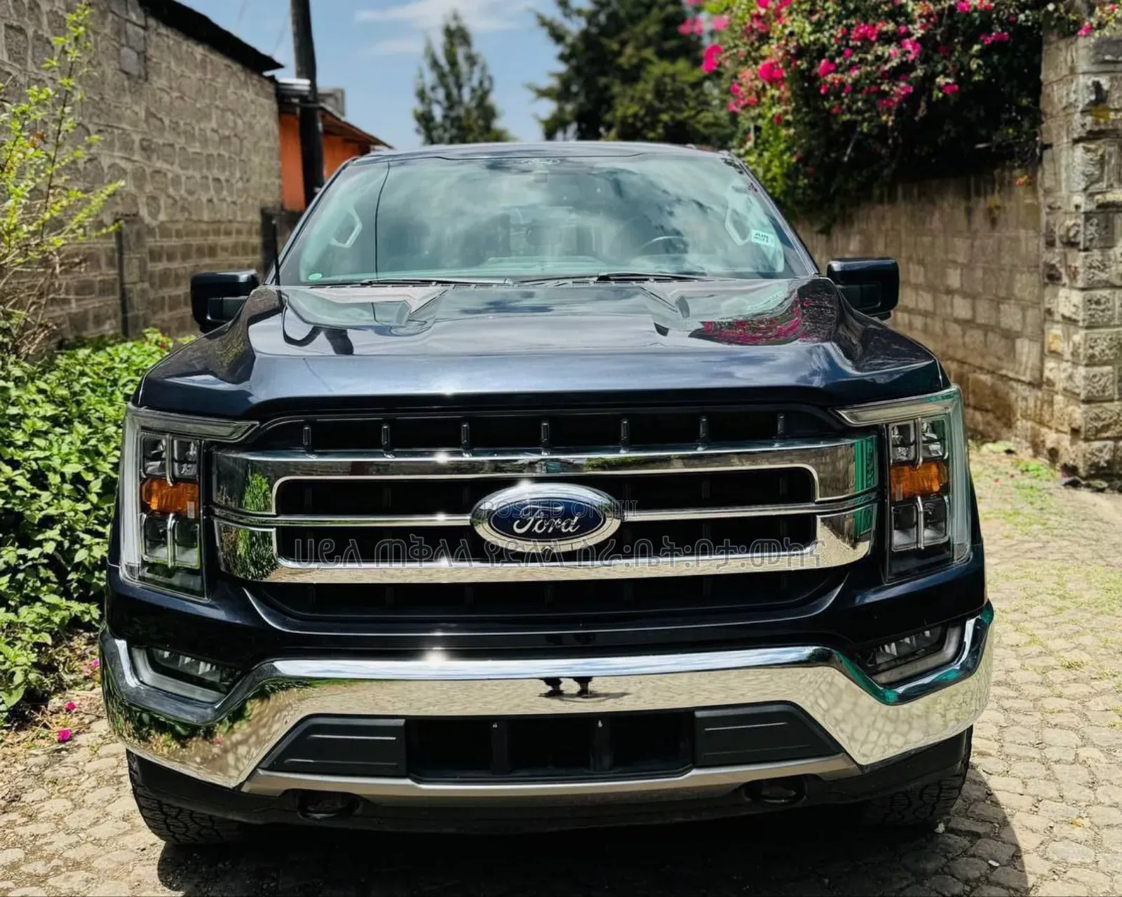 Ford F-150 2021 Gray