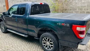 Ford F-150 2021 Gray