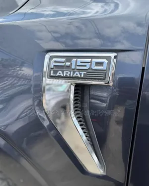 Ford F-150 2021 Gray