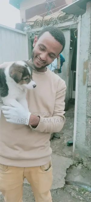 Doctor Of Veterinary Medicine