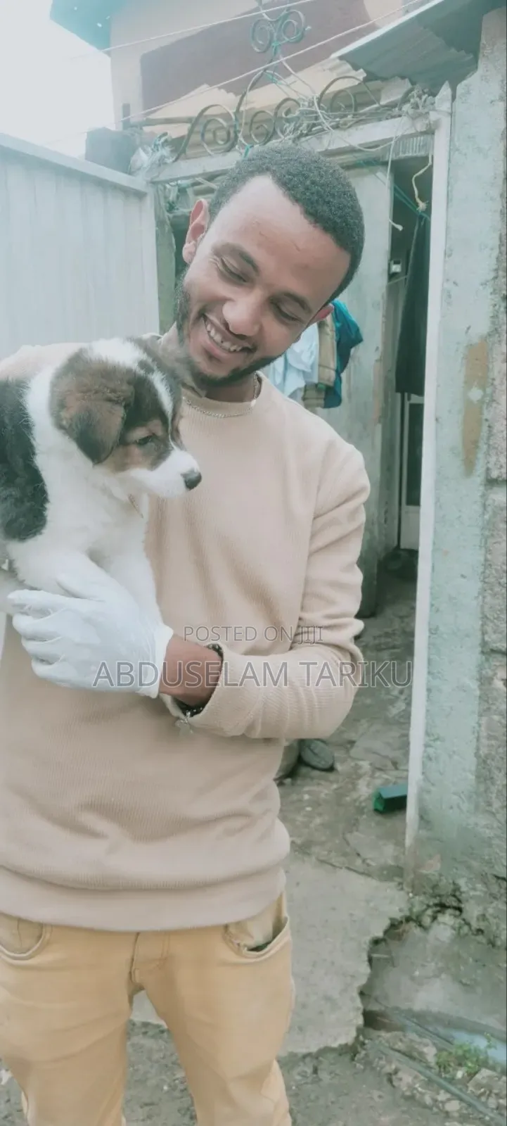 Doctor Of Veterinary Medicine