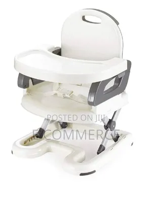 Photo - Mastela Booster To Toddler Seat