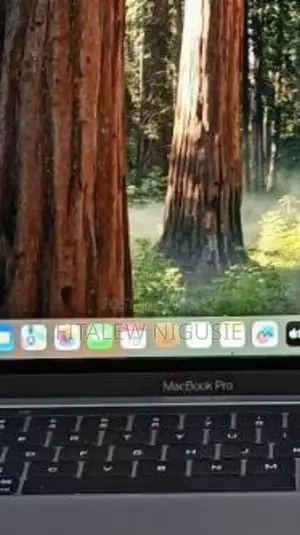 New Laptop Apple MacBook Pro 2019 16GB Apple M1 SSD 256GB