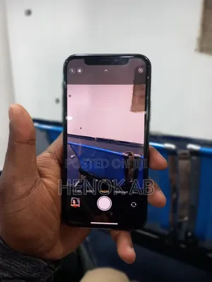 Apple iPhone 11 256 GB Gray