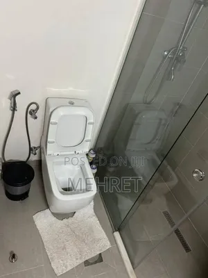 Furnished 3bdrm Apartment in ጃምቦ, Bole for sale