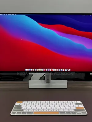 Dell Premium Monitor