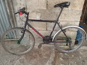 Photo - Creeper Bike