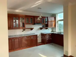 4bdrm Penthouse in Bole for rent