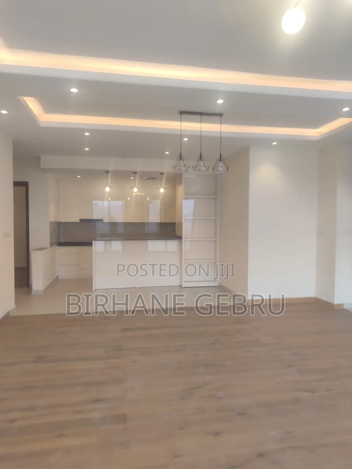 4bdrm Apartment in Luxury Apartiment, Lideta for rent
