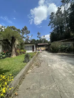 Photo - 6bdrm Villa in Bole for sale