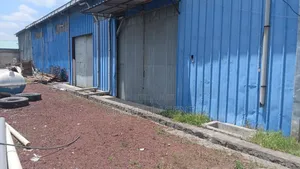 Warehouse Sale የመጋዘን ሽያጭ