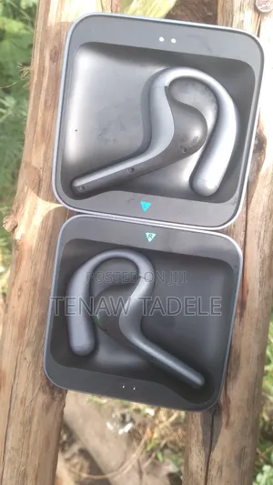 Photo - Timekettle Translater