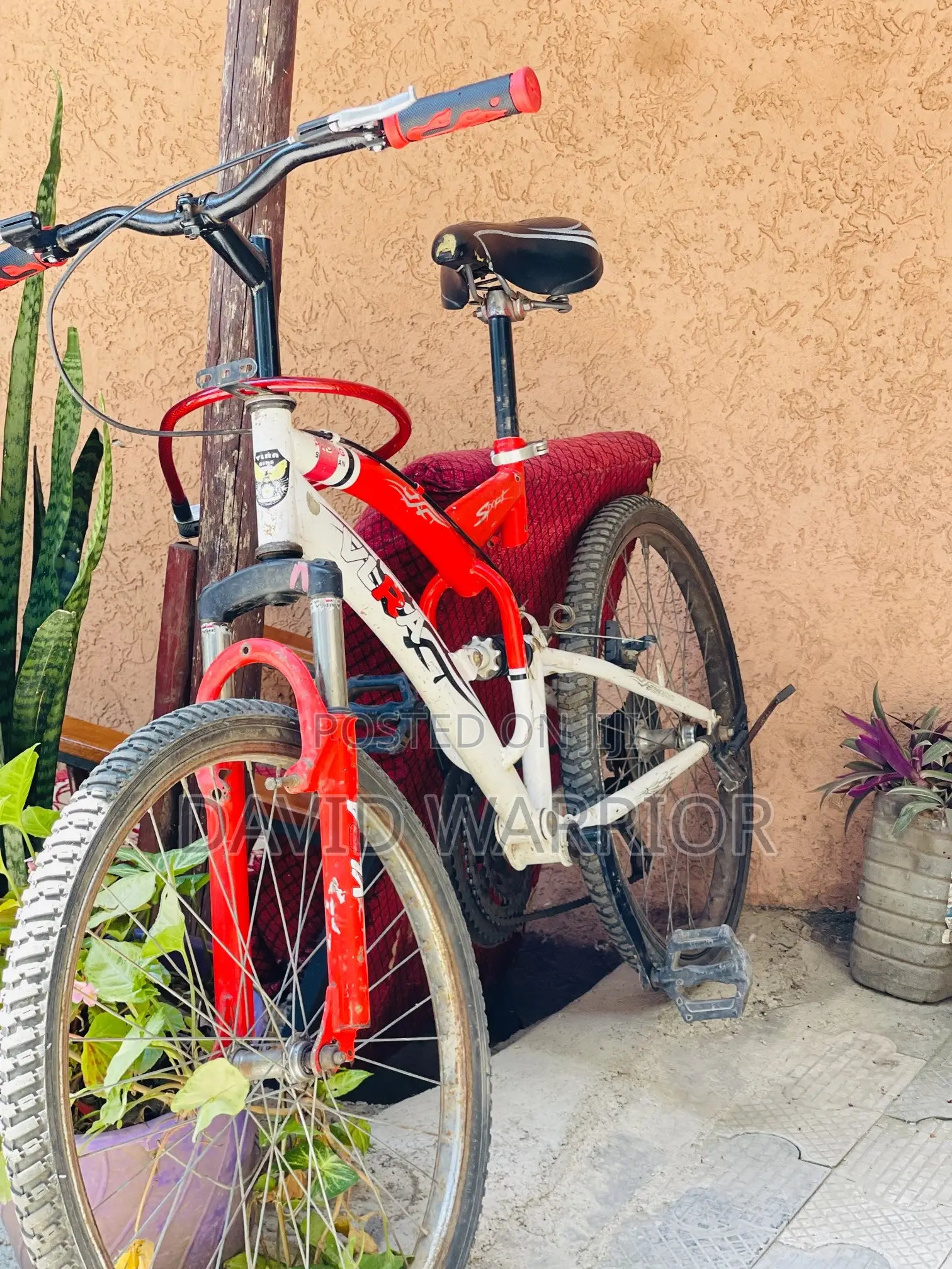 Vlra Awesome Bike 🚴‍♀️