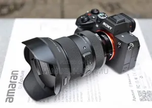 Sony 7 Iv With 24-70 G Master