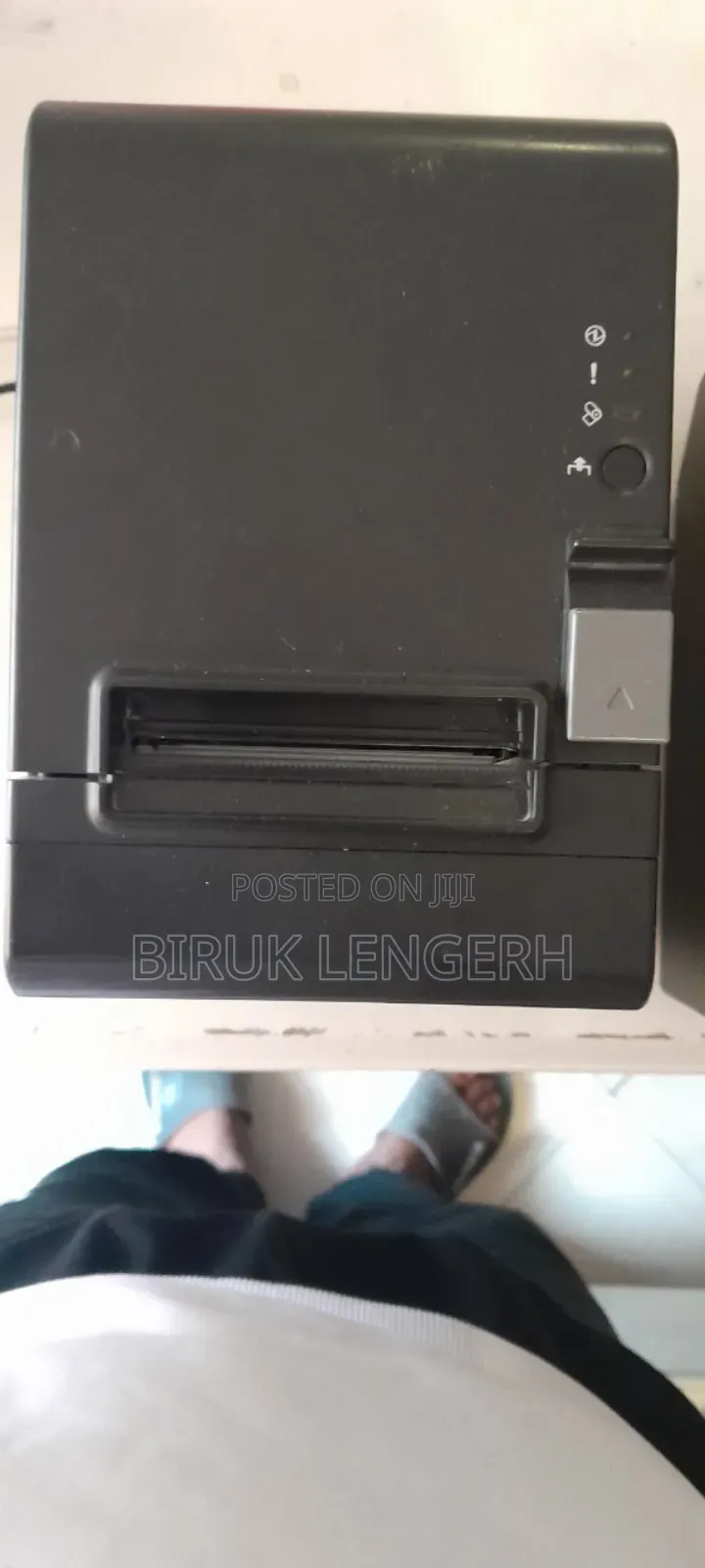 Printer Epson Eco250