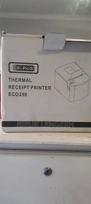 Printer Epson Eco250